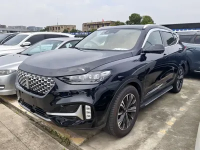 WEY Wey VV6