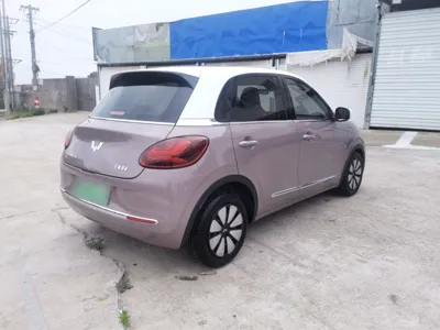 Wuling Bingo
