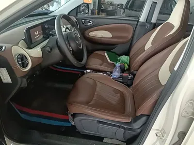 Wuling Bingo