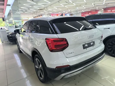 Audi Q2L e-tron