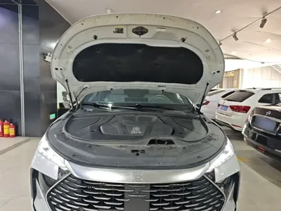 BYD Tang New Energy