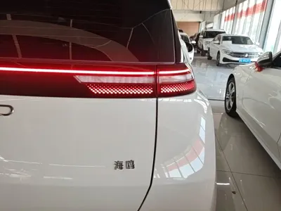 BYD Seagull