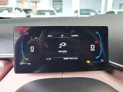BYD Seagull