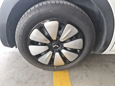 Wuling Bingo