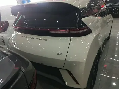 BYD Seagull