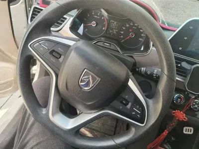 Baojun 310W