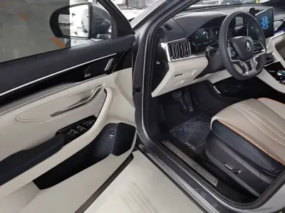 BYD PLUS New Energy