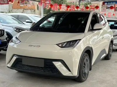BYD Seagull