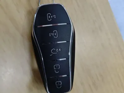 BYD Tang New Energy