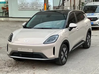Wuling 缤果S