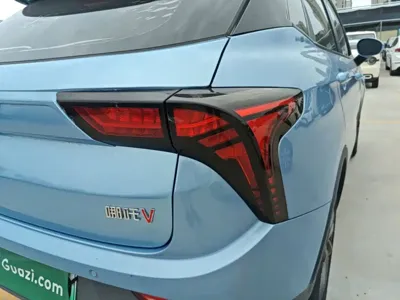 NETA Neta V