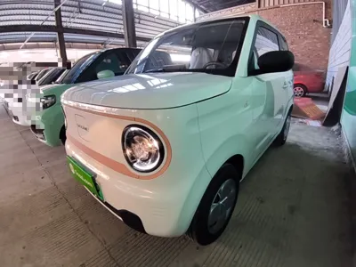 Geely Galaxy Panda