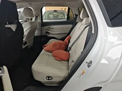 BYD 唐L