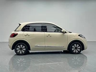 Wuling Bingo