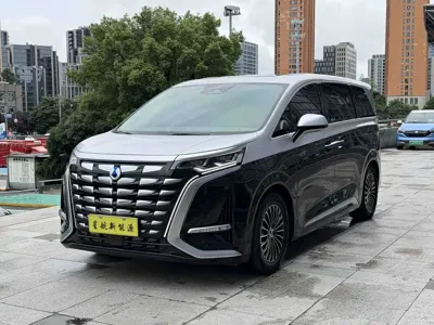 Denza Denza D9