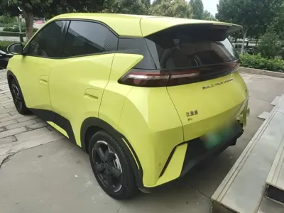 BYD Seagull