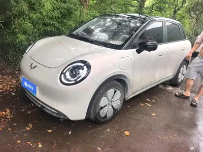 Wuling 缤果Pro