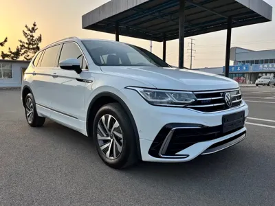Volkswagen Tiguan L New Energy