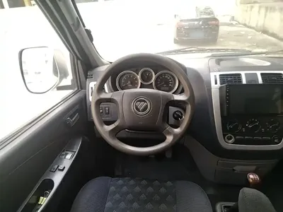 Foton Maverick E