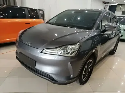NETA Neta V