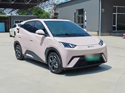 BYD Seagull
