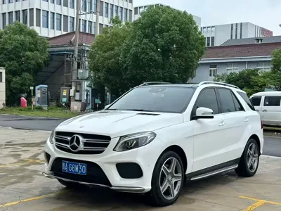 Mercedes-Benz 奔驰GLE(进口)
