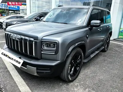 Haval 哈弗猛龙燃油