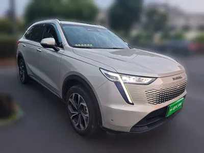 Haval Fierce Dragon Max