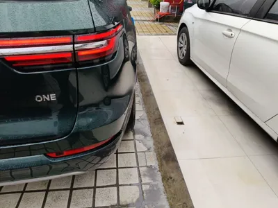 Li Auto ONE