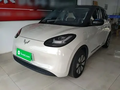 Wuling Bingo
