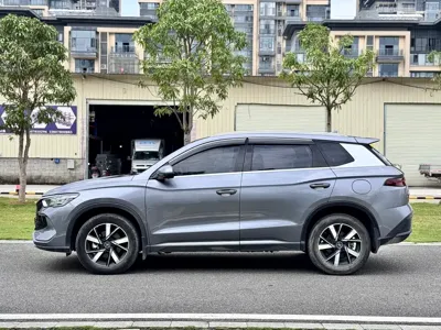 BYD Pro New Energy