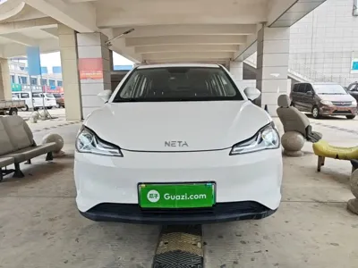 NETA Neta V