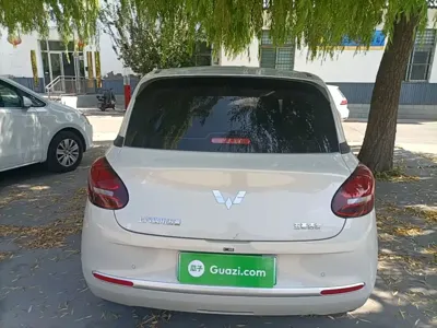Wuling Bingo