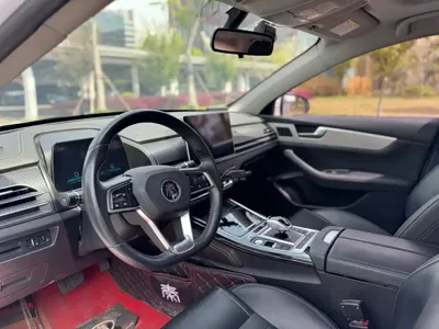 BYD Qin Pro NEV