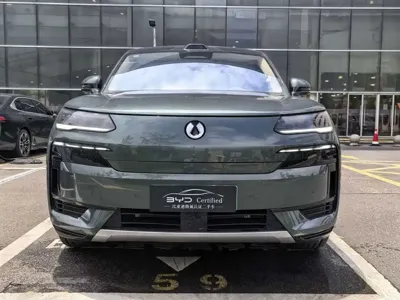 Denza 腾势N9