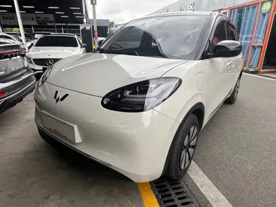 Wuling Bingo