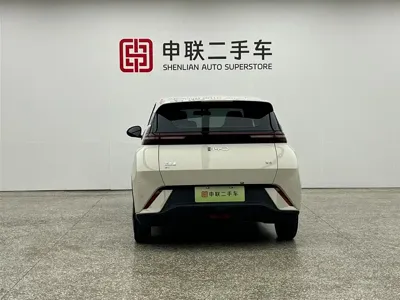 BYD Seagull
