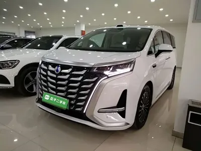 Denza Denza D9