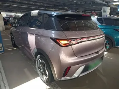 BYD Dolphin