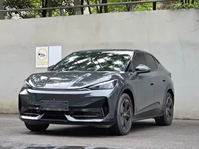 Volkswagen 06