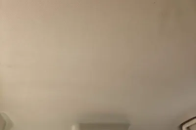 ORA Good Cat