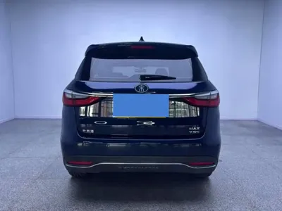 BYD MAX New Energy