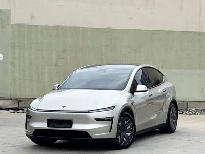 Tesla Model Y L