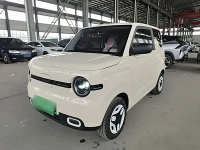 Galaxy Panda