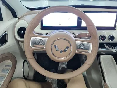 Wuling Bingo