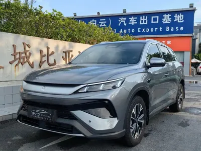 BYD Pro New Energy
