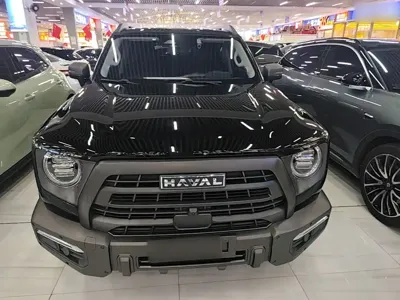 Haval Big Dog