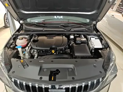 Geely Binrui