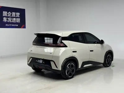 BYD Seagull