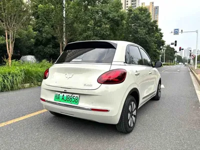 Wuling Bingo